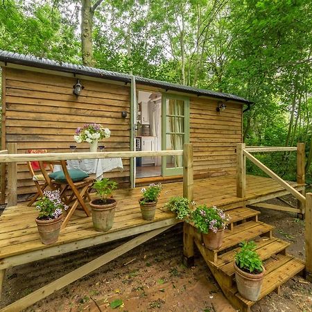 Woodland Retreat Shepherds Hut Villa Brundish Exterior foto